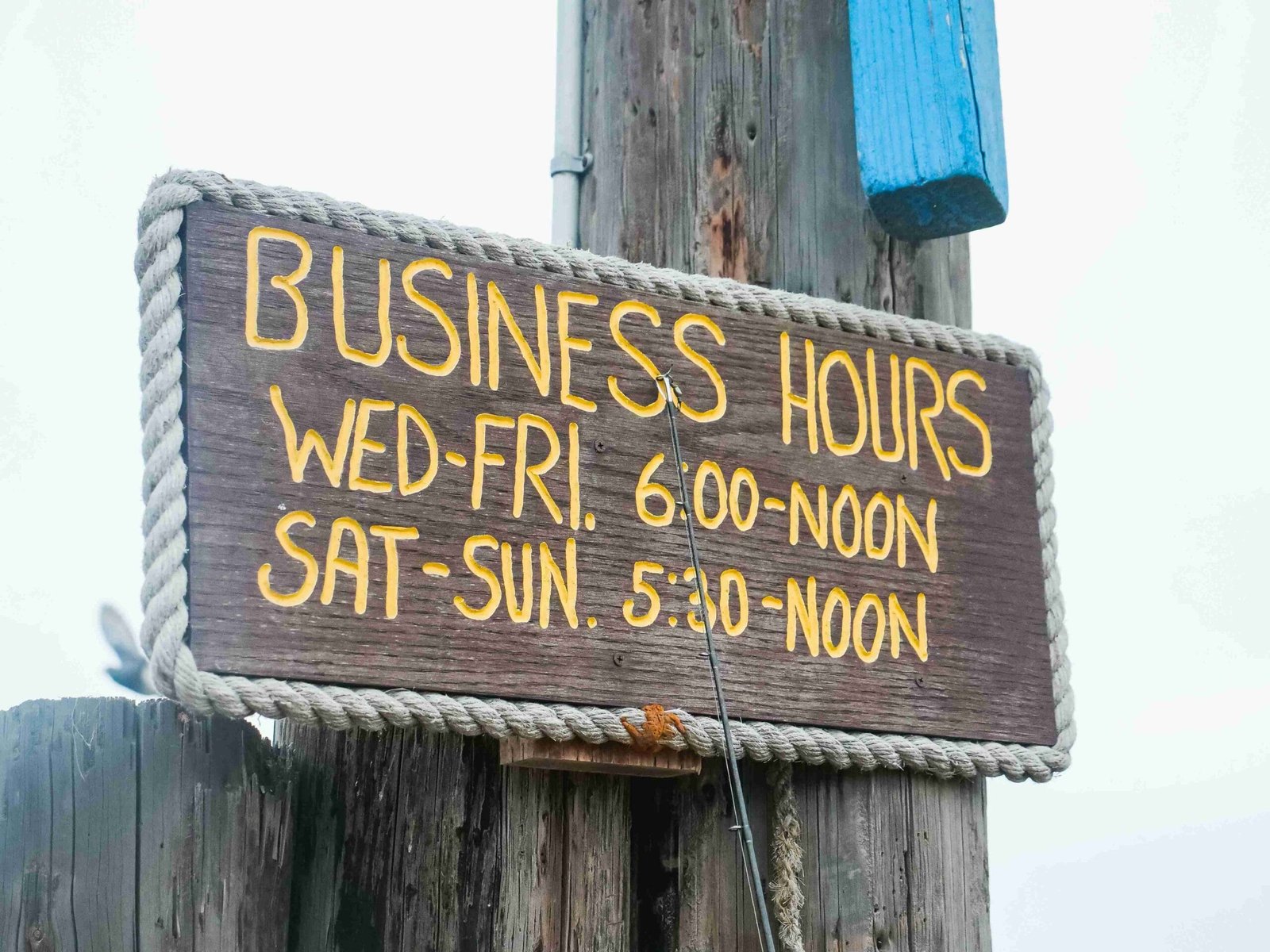 An image illustrating Is Your Small Business Ready for an IPO?
