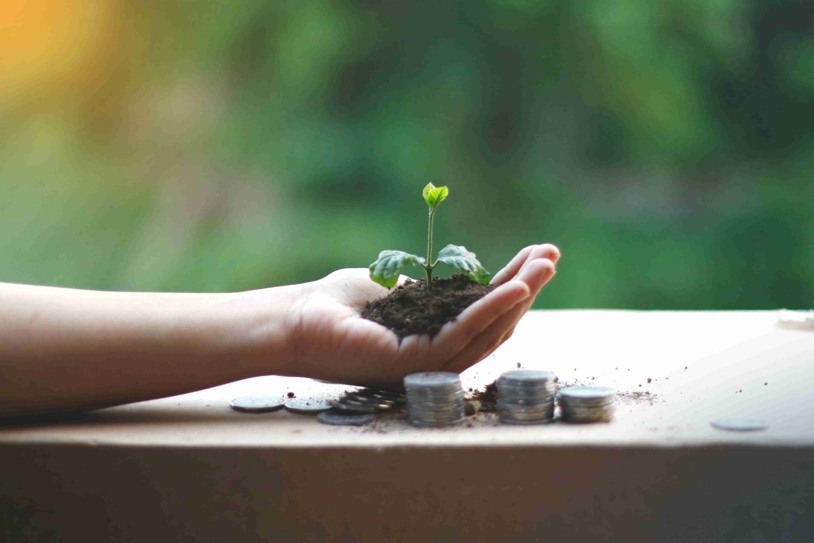 An image illustrating Adjusting Your Business Model for Financial Sustainability Roadmap to Financial Sustainability 2026